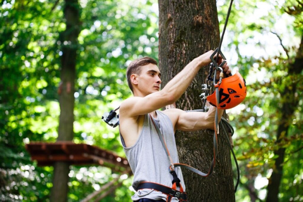 Tree Pruning Services Near Me