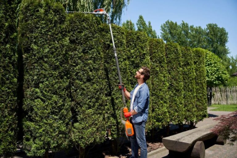 cost of hedge trimming
