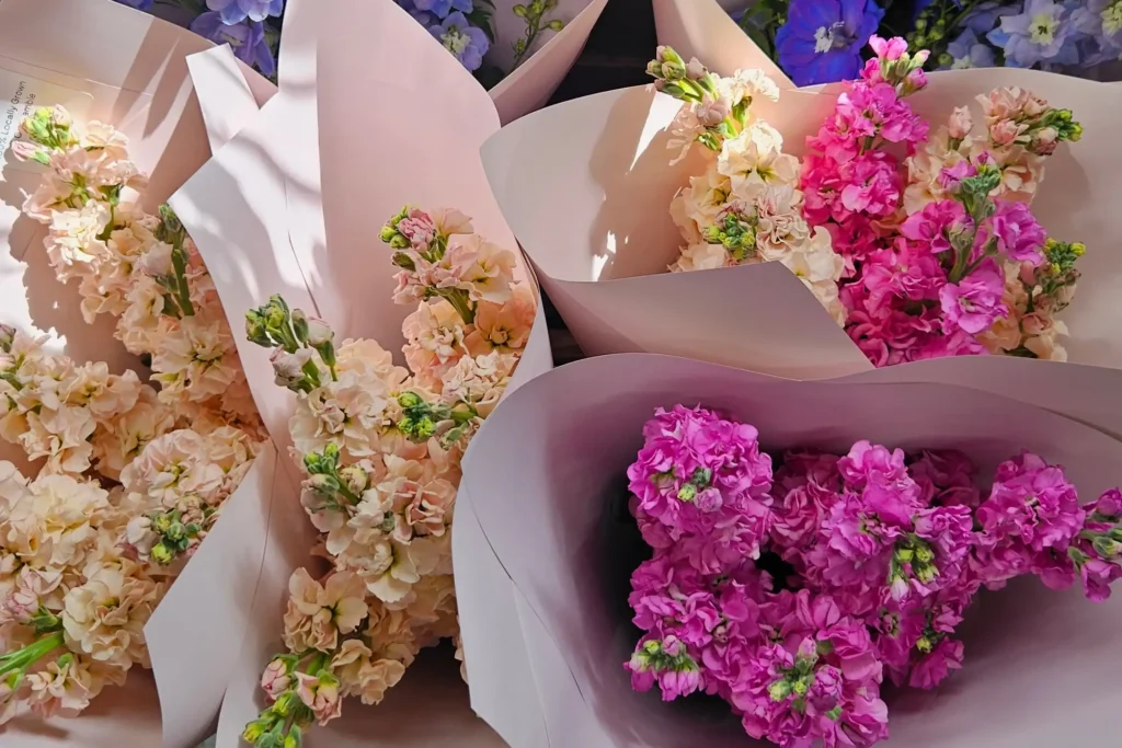 Florist Crows Nest: Fresh Flowers for a Vibrant North

