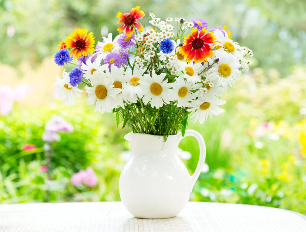 Florist Crows Nest: Fresh Flowers for a Vibrant North

